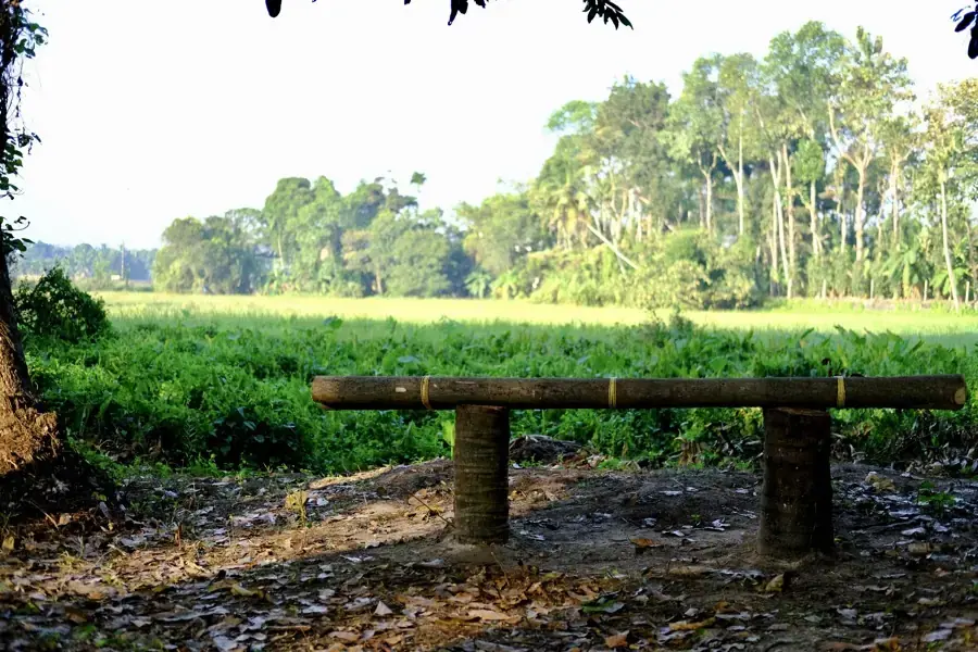 Thiruvankulam - Campus Walkway